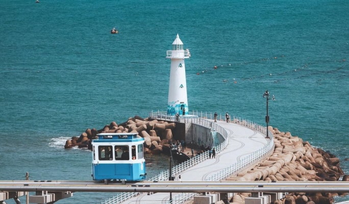 Busan & Gyeongju 1 Day Tour from Busan