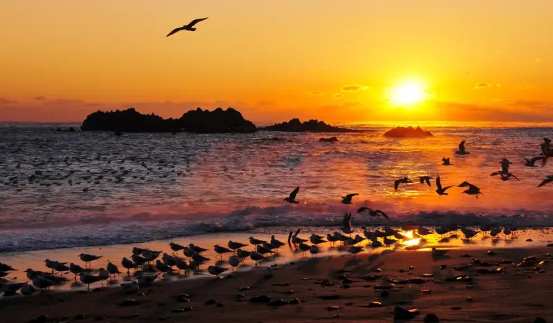 Private Car Charter Tour from Gyeongju: Gyeongju/Busan/Andong/Pohang/Ulsan/Jeonju (up to 13 passengers) - view 2