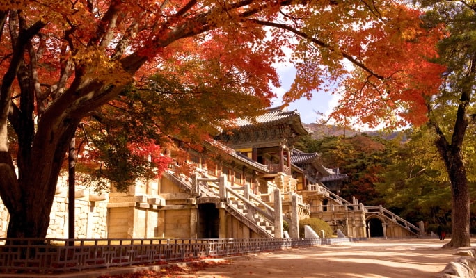 慶州秋天楓葉一日遊 - 釜山出發（10月28日~11月15日）