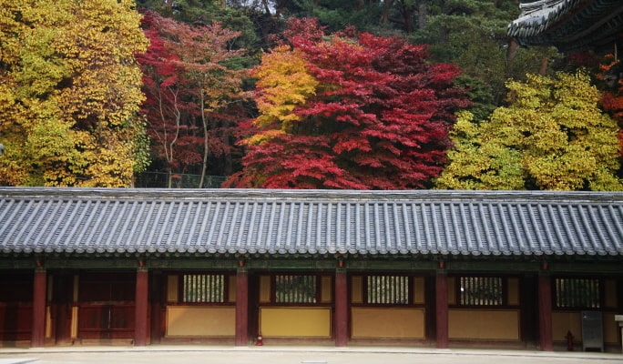 慶州秋天楓葉一日遊 - 釜山出發（10月28日~11月15日）