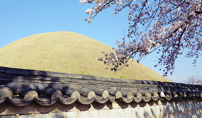 Gyeongju Hipster Private Tour from Busan or Daegu