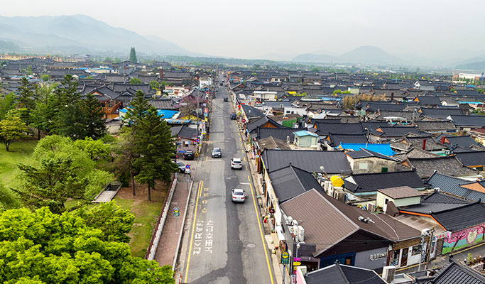 Gyeongju Hipster Private Tour from Busan or Daegu