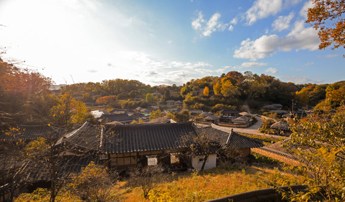 Gyeongju Hipster Private Tour from Busan or Daegu