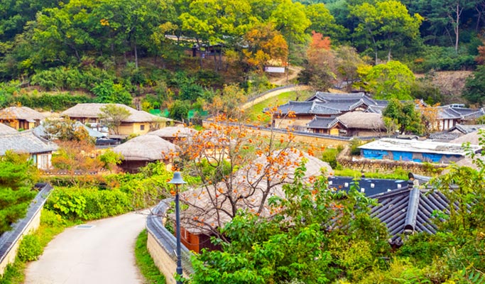 Gyeongju Hipster Private Tour from Busan or Daegu