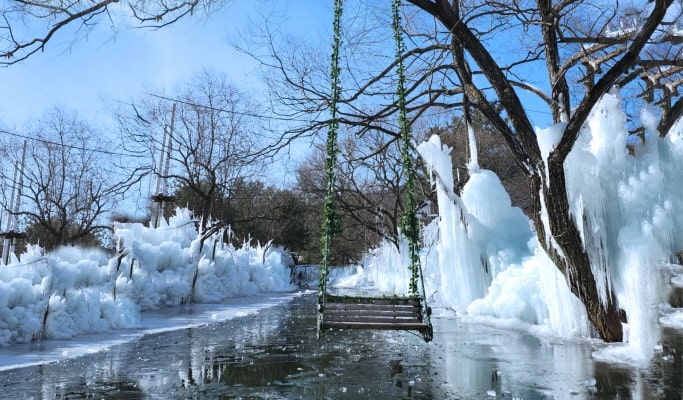 Gyeongju Instagram Spots 1 Day Tour from Busan