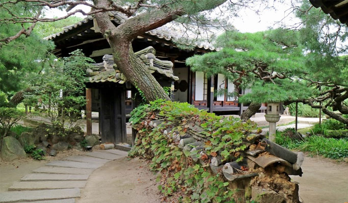Gyeongju Master Chef (Bibimbap Making & Craft Beer) Private Tour from Busan or Daegu