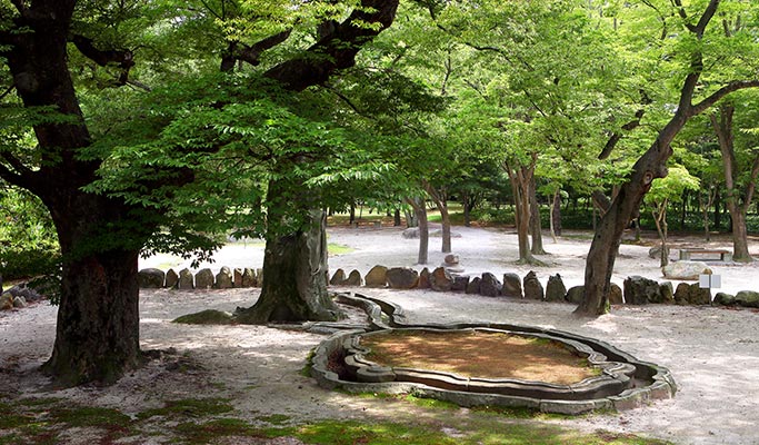 Gyeongju Master Chef (Bibimbap Making & Craft Beer) Private Tour from Busan or Daegu