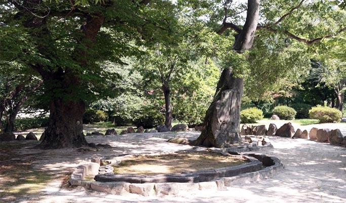 Gyeongju Master Chef (Bibimbap Making & Craft Beer) Private Tour from Busan or Daegu