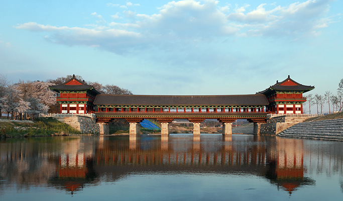 Gyeongju Master Chef (Bibimbap Making & Craft Beer) Private Tour from Busan or Daegu
