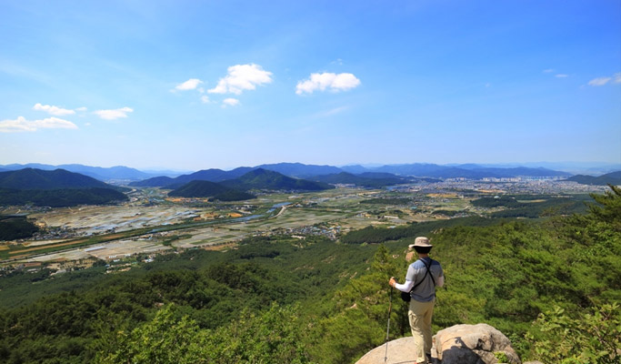Gyeongbuk Gyeongju Mt. Namsan (Open Museum) Hiking Tour from Daegu