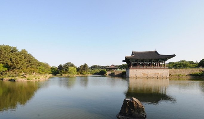 Busan Pink Muhly Habitat Fields & Gyeongju Historic Sites 1 Day Tour - from Busan (Oct 8~17)