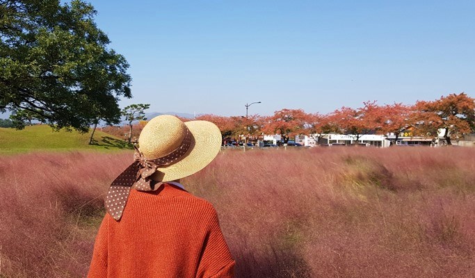 Busan Pink Muhly Habitat Fields & Gyeongju Historic Sites 1 Day Tour - from Busan (Oct 8~17)