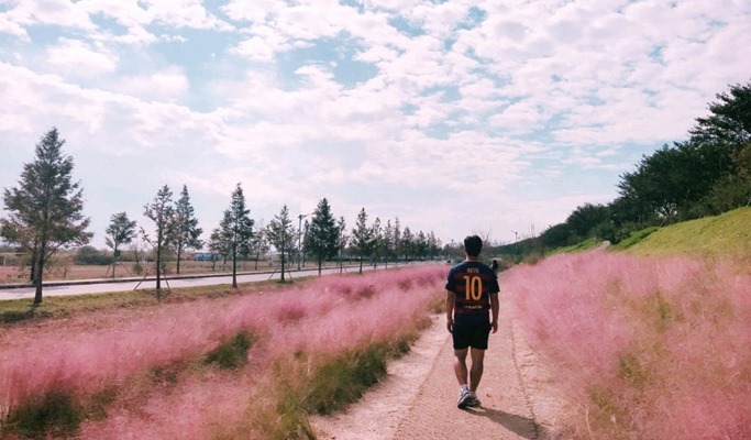 Busan Pink Muhly Habitat Fields & Gyeongju Historic Sites 1 Day Tour - from Busan (Oct 8~17)