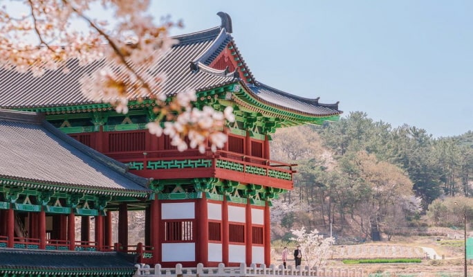 春季特輯：慶州櫻花一日遊（+ 接送選項）- 首爾 / 釜山出發（4月1日~11日）