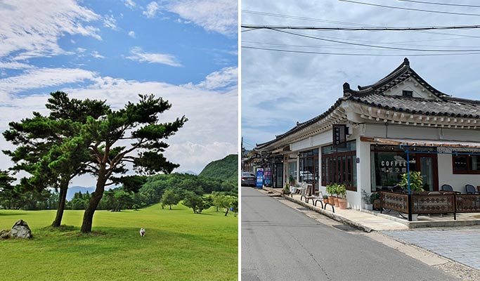 Online Virtual Tour with Live Commentary from Local Tour Guide - Gyeongju