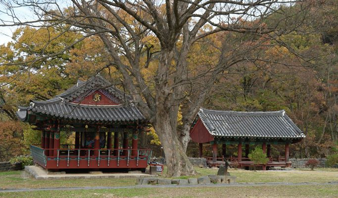 Spring Special: Ssanggyesa Temple + Hwagaejangteo Market Cherry Blossom 1 Day Tour - from Busan (Mar 31~Apr 14)