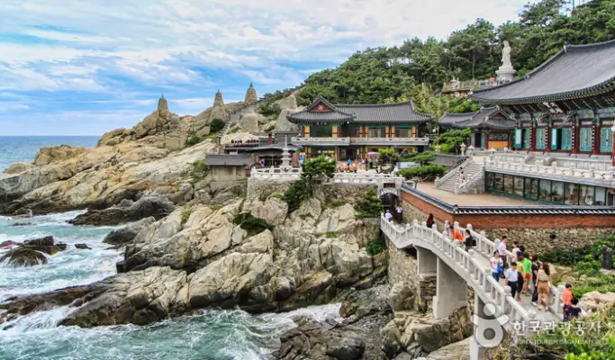 Busan Seven Bridges Tour: Media Art + Haedong Yonggungsa Temple + Yacht Tour