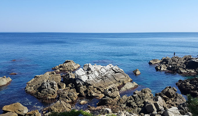 Gyeongbuk Yeongdeok Haeparang Trail No. 21 Trekking Tour from Daegu