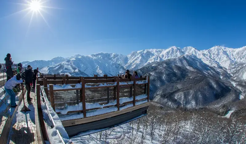 Hakuba Iwatake Snow Field: 1 Day Lift Pass & Shuttle Bus Package from Nagano (Feb 7~Mar 15) - view 2