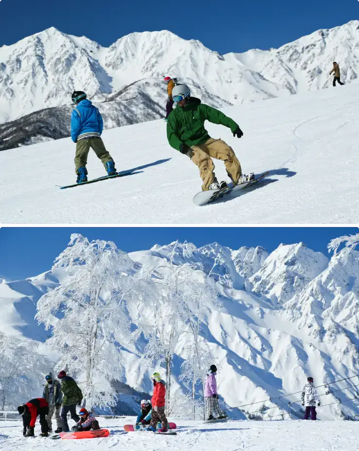 Skiers gliding smoothly on high-quality powder snow at Hakuba Iwatake Snow Field.