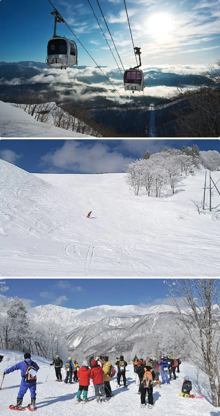 People skiing down the snowy slopes at Hakuba Iwatake Snowfield.