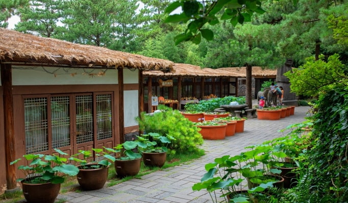 濟州翰林公園門票