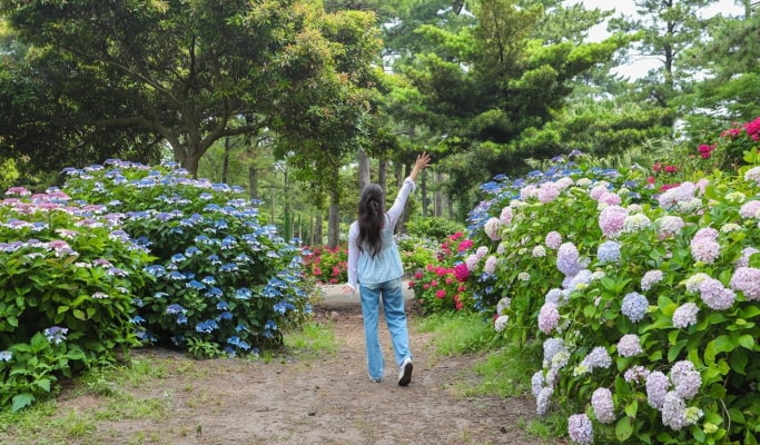 濟州翰林公園門票