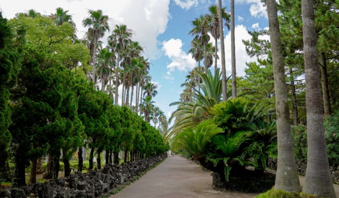 Jeju Island UNESCO 1 Day Small Group Tour (+Lunch)