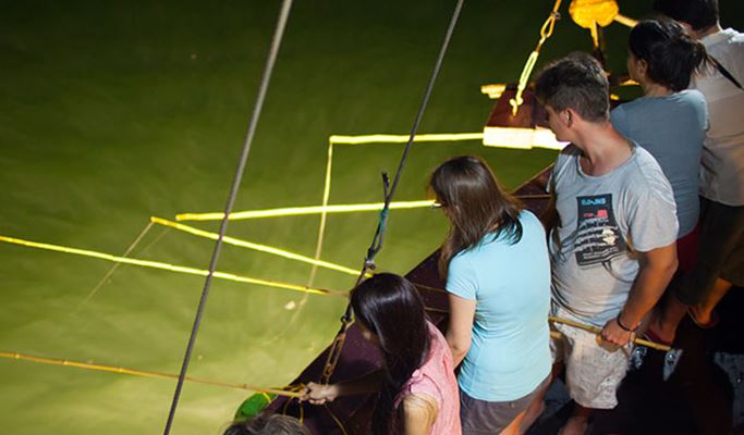 Halong Bay Cruise (2D1N/3D2N) - from Hanoi