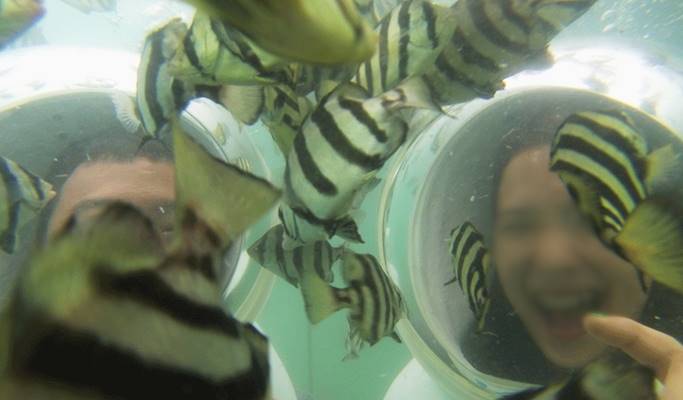 Sea Walking Experience at Hamo Beach, Jeju Island