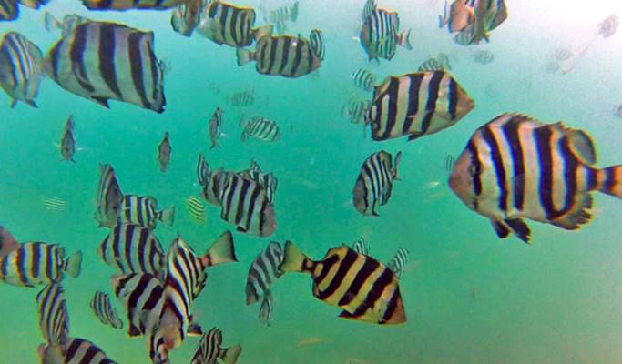 Sea Walking Experience at Hamo Beach, Jeju Island