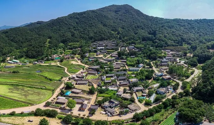 [Trazy Special] Seongju Day Trip & Gayasan Lighted Night Walk - from Busan/Daegu (Sept 27)