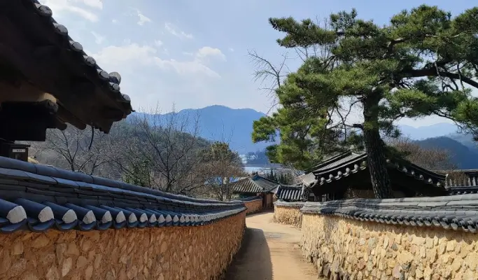 [Trazy Special] Seongju Day Trip & Gayasan Lighted Night Walk - from Busan/Daegu (Sept 27)