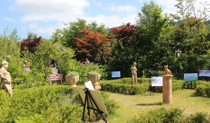 Goseong Lavender Farm & Seoraksan Mountain / Sokcho 1 Day Tour (Jun 10~22)