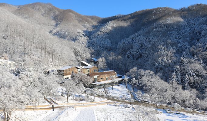 Healience Zen Village 2D1N Stay Program - Mind & Body Healing (+ shuttle transfer option)
