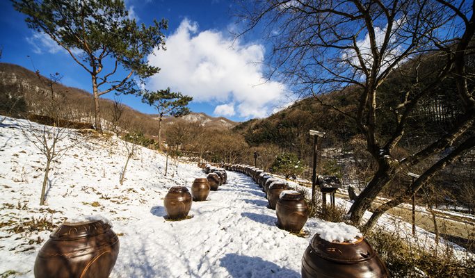 Healience Zen Village 2D1N Stay Program - Mind & Body Healing (+ shuttle transfer option)