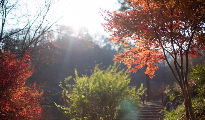 Healience Zen Village 2D1N Stay Program - Mind & Body Healing (+ shuttle transfer option)