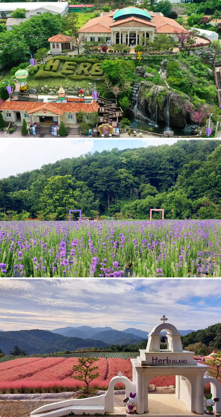Pocheon Herb Island garden with colorful flowers and greenhouses