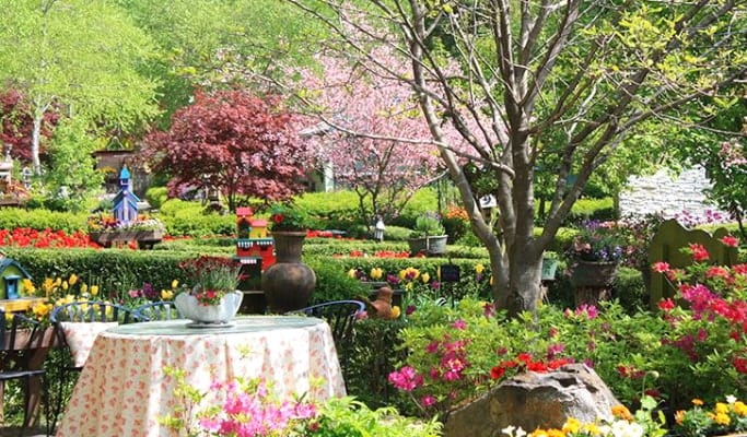 Daegwallyeong Sheep Farm + Bongpyeong Herbnara Farm 1 Day Tour