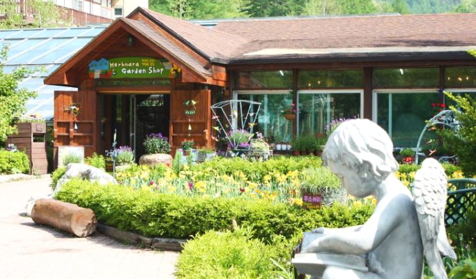 Daegwallyeong Sheep Farm + Bongpyeong Herbnara Farm 1 Day Tour