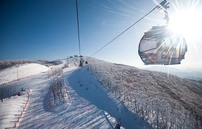Tour di sci/snowboard 3D2N: High1 Ski Resort