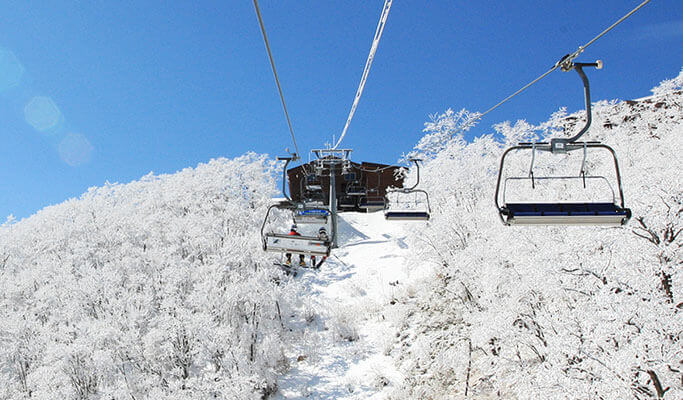 High1 Ski Resort Private Transfer (from/to Seoul & Incheon/Gimpo Airport) 24/7