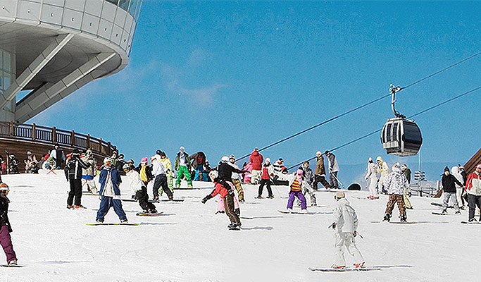 Seoul/Airport ↔ High1 Ski Resort Shuttle Bus