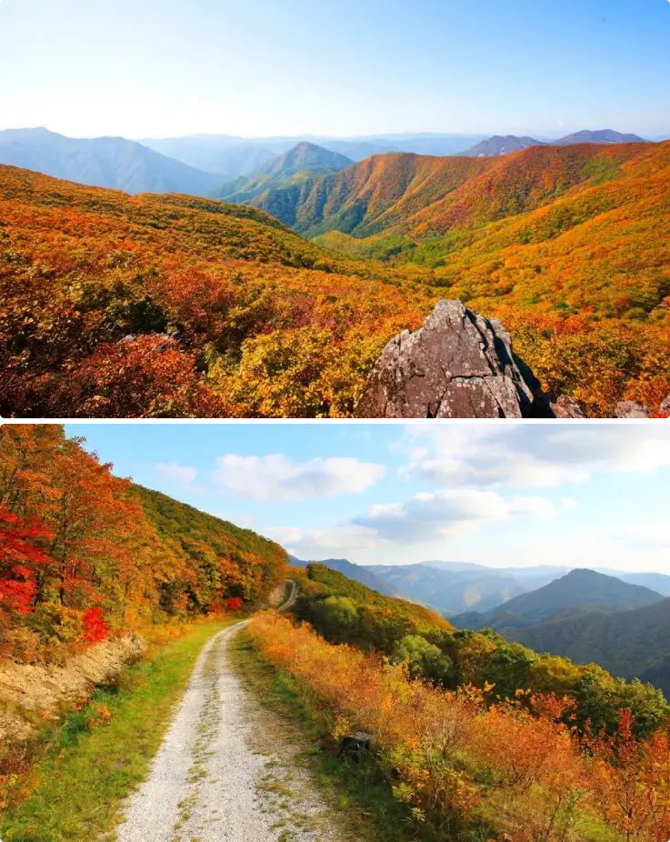 Autumn trekking trail surrounded by colorful foliage at High1 Resort