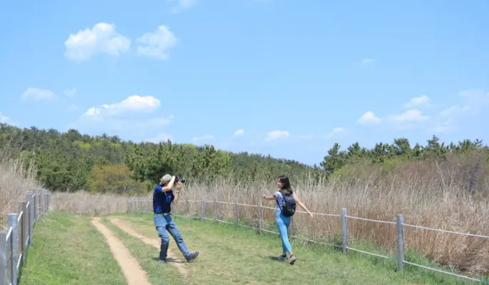 Hiking and Makgeolli Tasting/ Brewing Experience in Busan, Gyeongju, or Pohang - from Busan