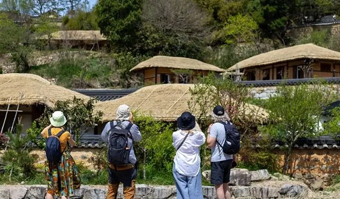 Hiking and Makgeolli Tasting/ Brewing Experience in Busan, Gyeongju, or Pohang - from Busan