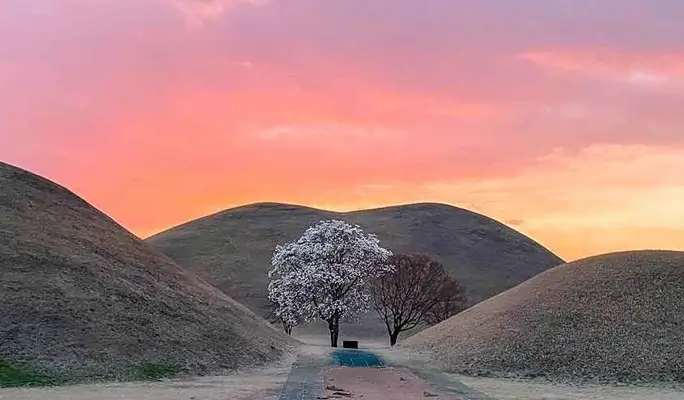 Hiking and Makgeolli Tasting/ Brewing Experience in Busan, Gyeongju, or Pohang - from Busan