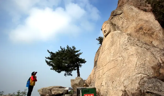 Hiking and Makgeolli Tasting/ Brewing Experience in Busan, Gyeongju, or Pohang - from Busan