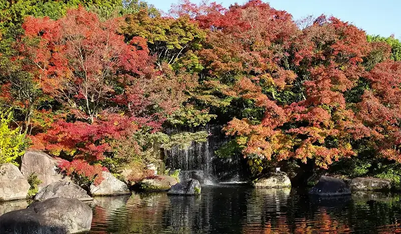 Himeji Castle & Arima Onsen 1 Day Tour with English/Chinese Guide - from Osaka - view 1