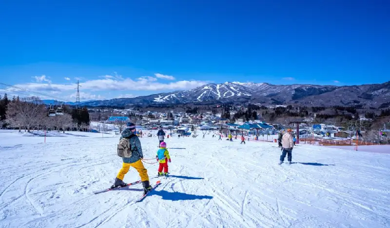 Hirugano Kogen Ski Resort: 1 Day Shuttle Bus Package from Nagoya (with Optional Lift Pass/Equipment/Clothes Rental) - view 1
